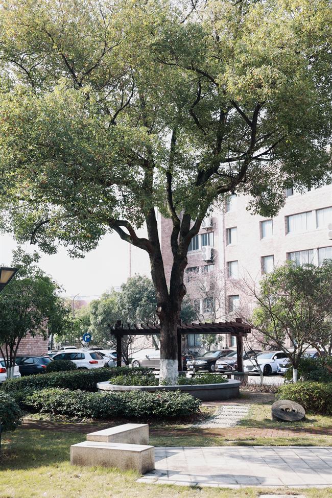 35049fbdb96ce7656e1cc85eedc1748_副本.jpg 35049fbdb96ce7656e1cc85eedc1748_副本.jpg