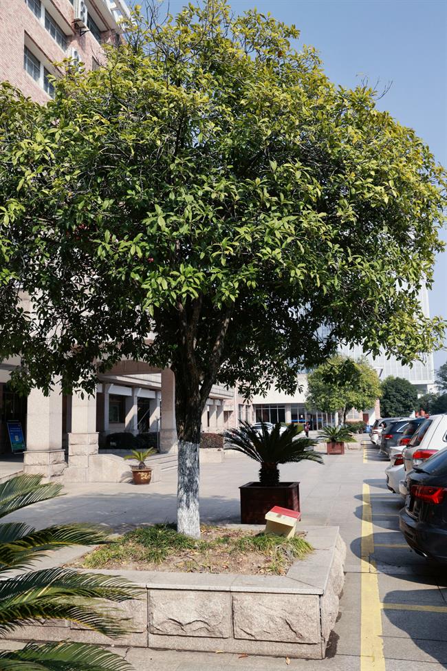 7a1c6c0cf38ed1952afe23248f950f2_副本.jpg 7a1c6c0cf38ed1952afe23248f950f2_副本.jpg