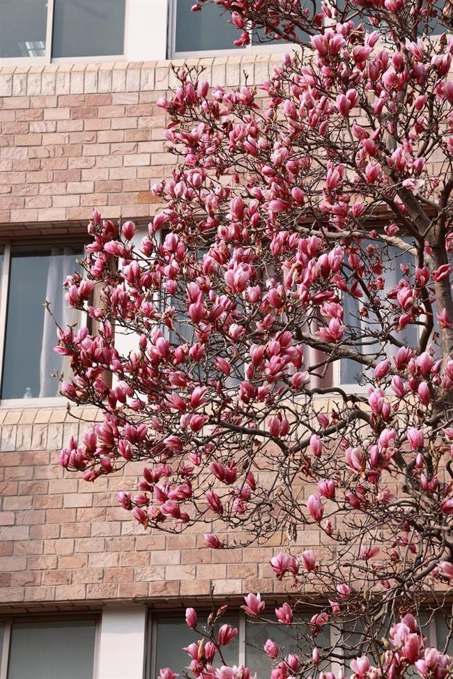 dd96c17d3dc15c652b62432a0637c5f.jpg dd96c17d3dc15c652b62432a0637c5f.jpg